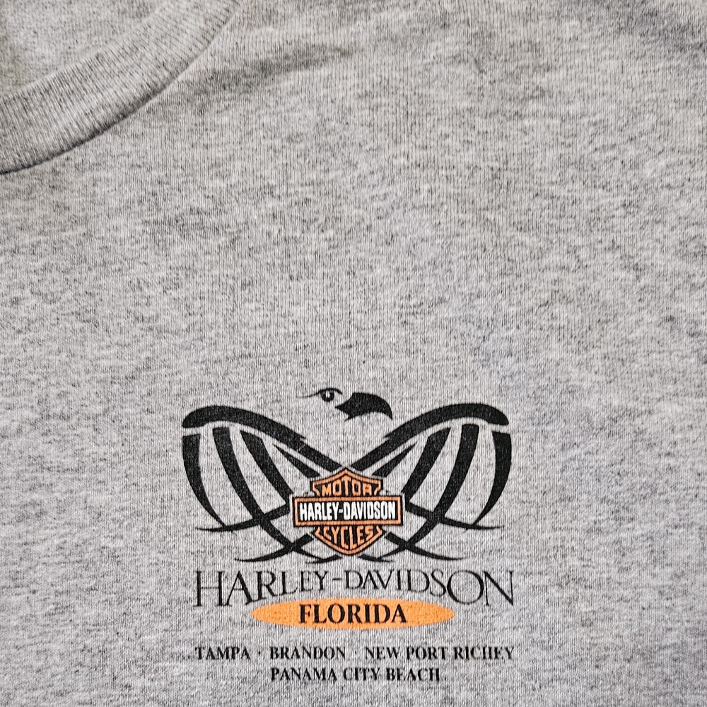 Harley-Davidson Gray Men's T-Shirt - Picture 3 of 5